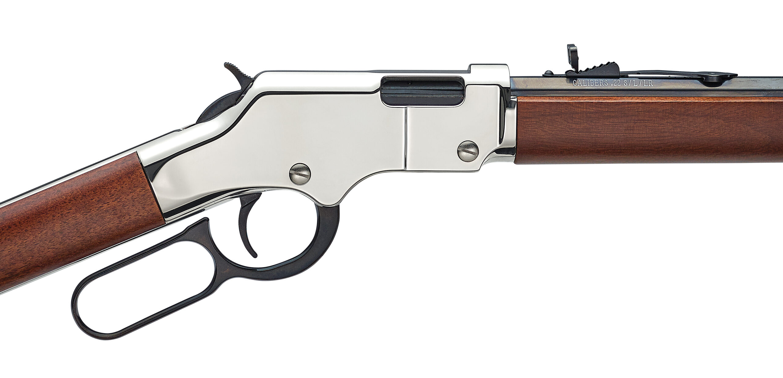 Henry H004S Golden Boy Silver 22 LR